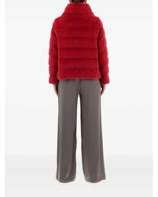 Herno Red Funnel-Neck Jacket