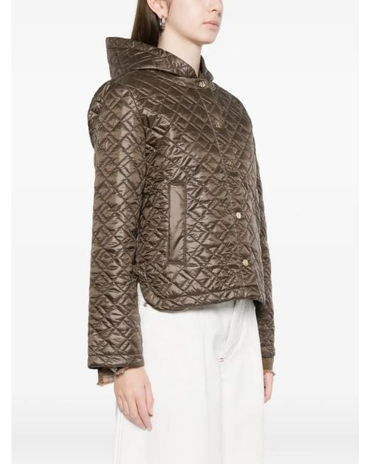 Marella Brown Quilted Hooded Jacket