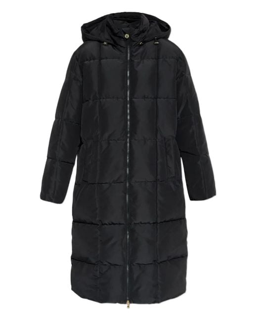EA7 Black Hooded Quilted Coat