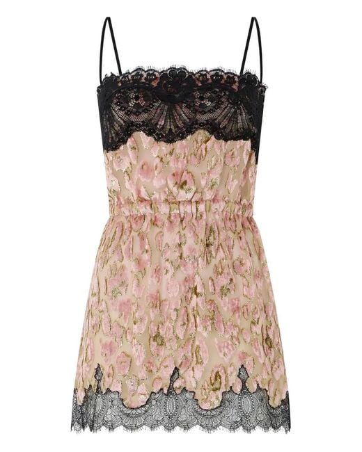 Roberto Cavalli Brown Lace-Trimmed Velvet Mini Dress