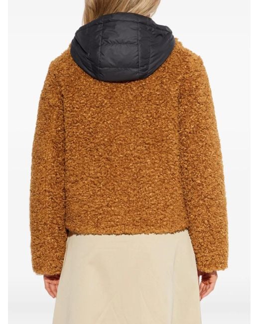 Moncler Brown Barbot Hooded-Neck Jacket