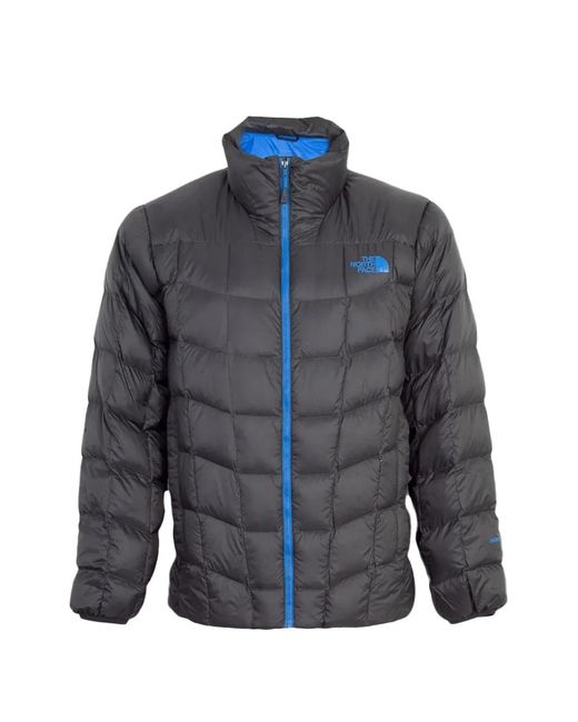 The North Face Blue Zip-Up Jacket for men