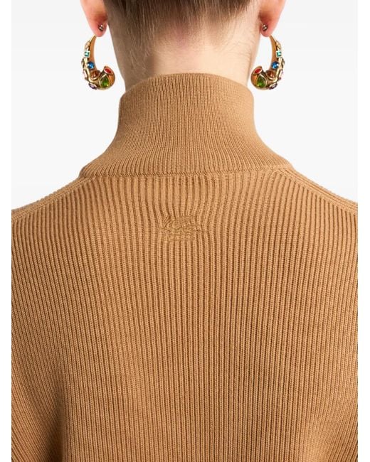 Etro Brown Wool Sweater
