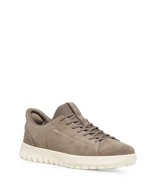 Geox Brown Suede Panelled Sneakers for men