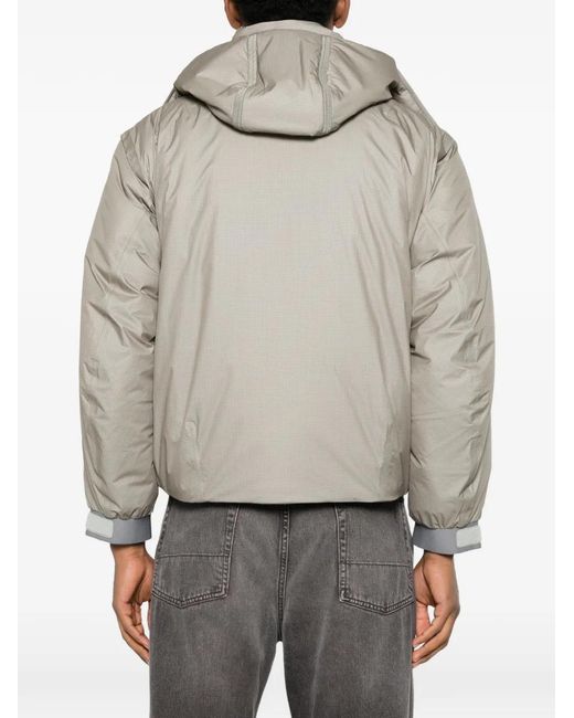 Goldwin Gray Padded Jacket for men