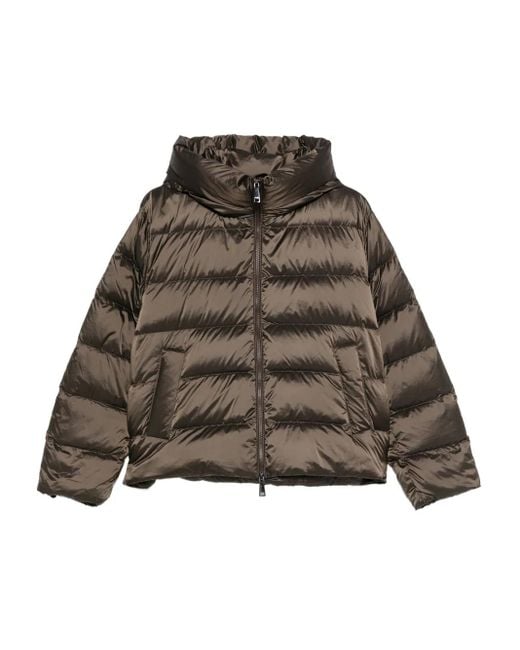 Giacca Trapuntata Con Cappuccio di Seventy in Brown