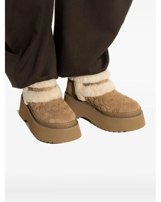Botas Christina con plataforma de 65 mm COACH de color Brown