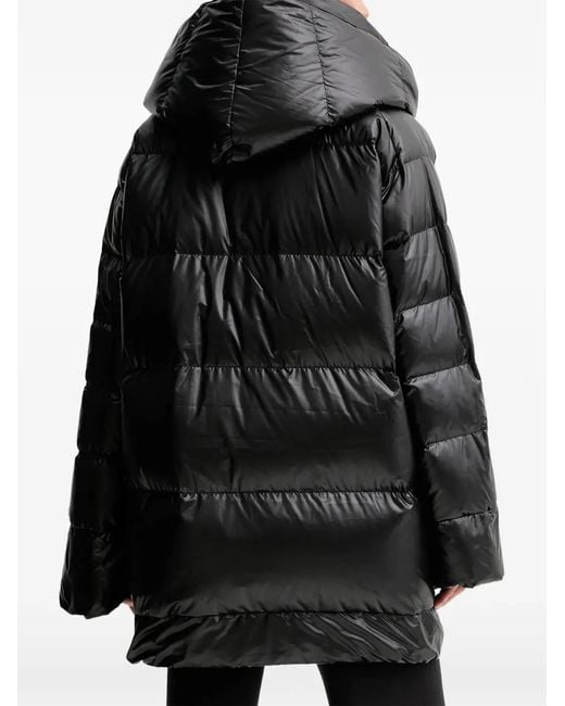 MMC Studio Black Hooded Belted Jacket