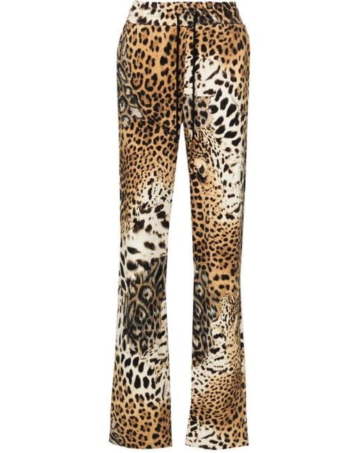 Pantalon De Jogging À Imprimé Jaguar Skin Roberto Cavalli en coloris Natural