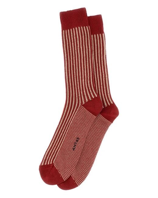 ANT45 Red Capri Striped Ribbed Socks for men