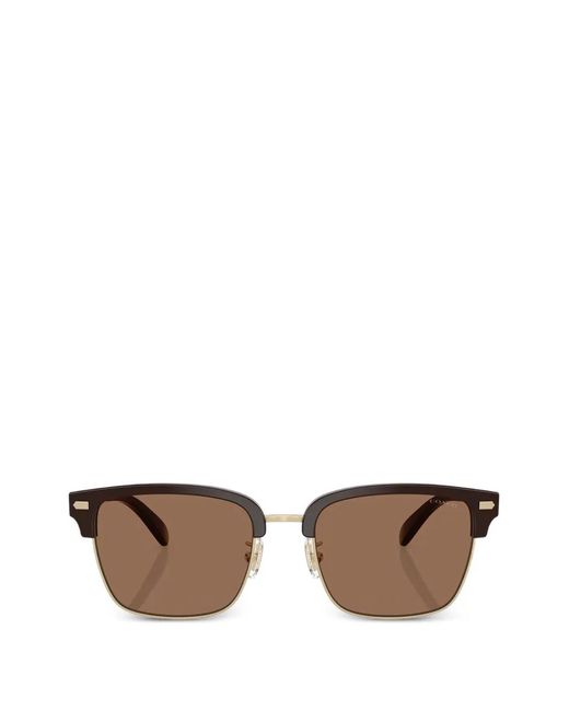 COACH Brown Rivet Retro Browline Sunglasses for men