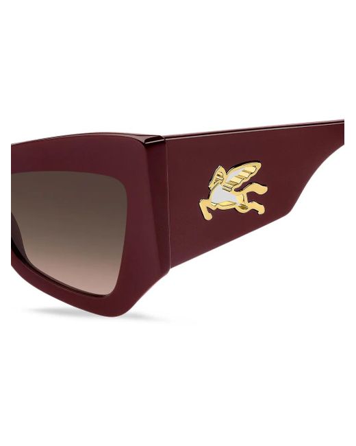 Etro Brown Sunglasses