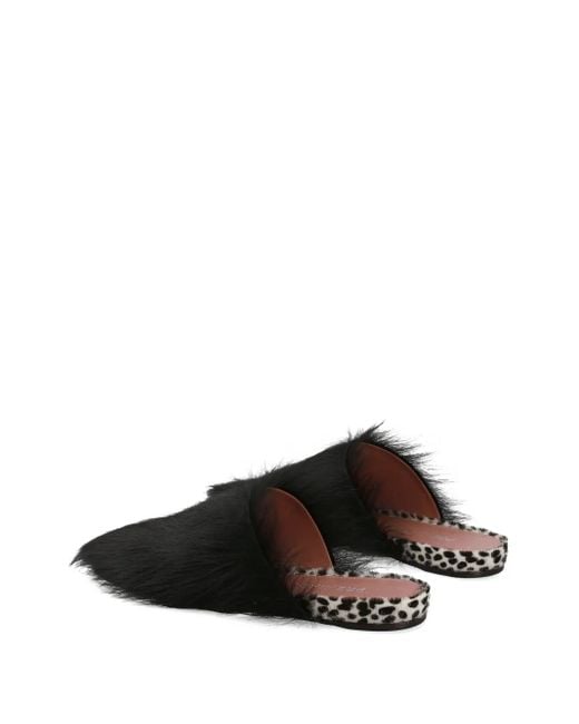 Premiata Black Polka-Dot Pattern Mules