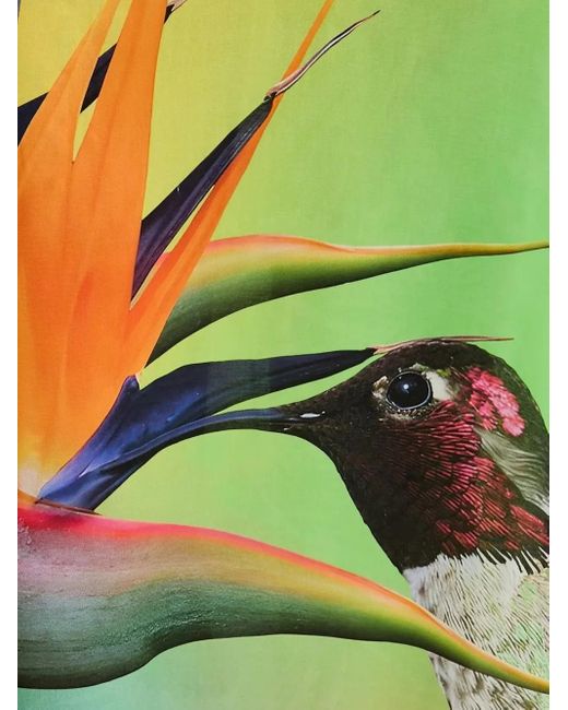 Robe Longue À Logo Imprimé Desigual en coloris Green