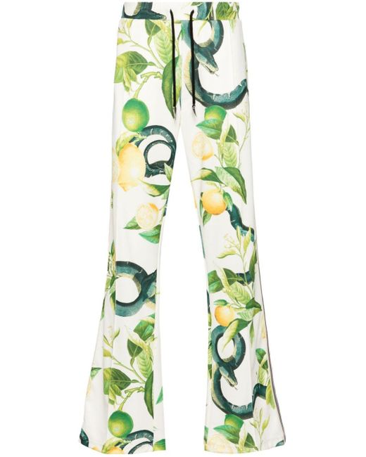Pantalon de jogging à imprimé serpent Roberto Cavalli pour homme en coloris Green