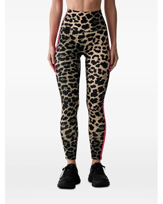 P.E Nation Black Leopard-Print Side-Stripe Leggings