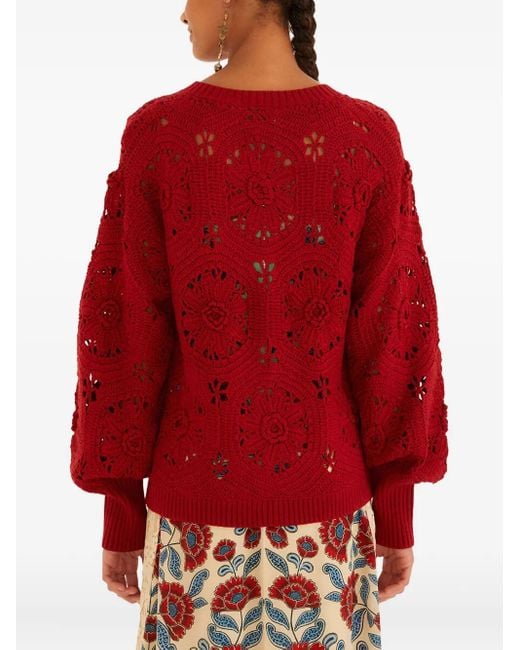 Farm Rio Red Sweaters
