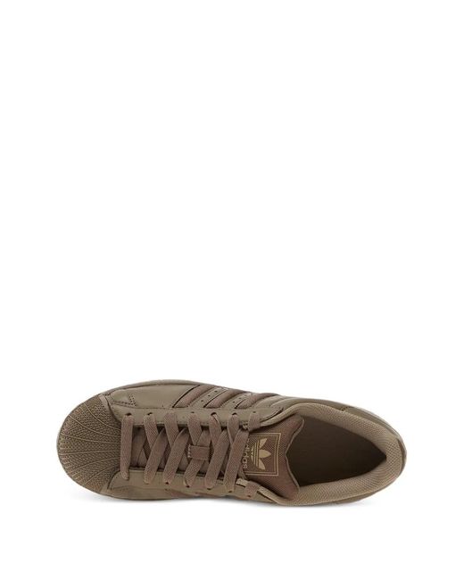 Adidas Brown Superstar Ii Sneakers