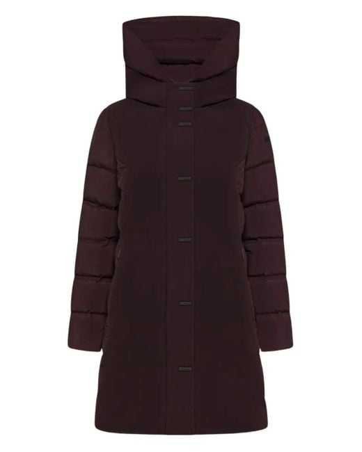 Rrd Purple Hooded Hybrid Parka