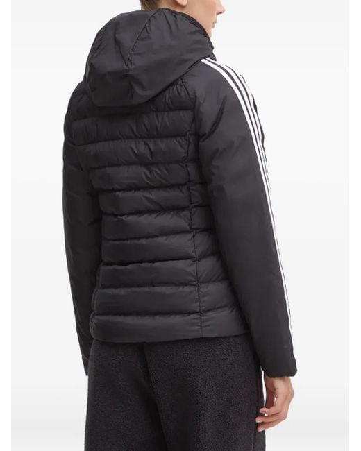 Adidas Black Three-Stripe Hooded Puffer Jacket
