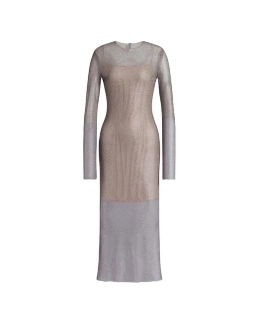 Alberta Ferretti Gray Two-Tone Mesh Dress With Fitted Silhouette