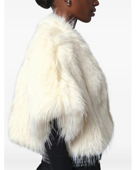 Apparis Natural Devin Shrug