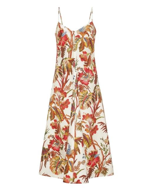 Cara Cara White Mae Floral Midi Dress