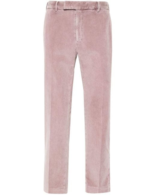 PT Torino Pink Corduroy Trousers for men