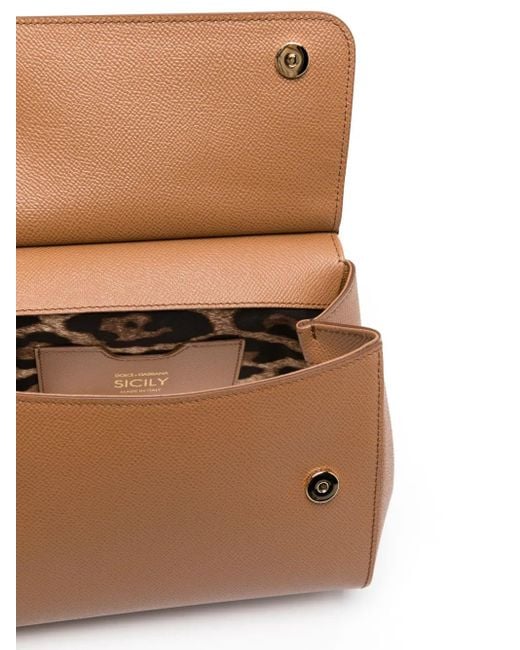 Dolce & Gabbana Brown Sicily Piccola
