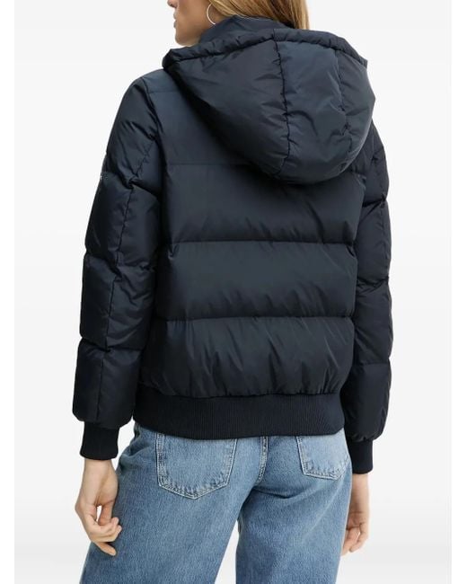 ARMANI EXCHANGE Blue Hooded Down Jacket