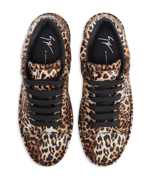 Giuseppe Zanotti Brown CZ-City Sneakers mit Leoparden-Print