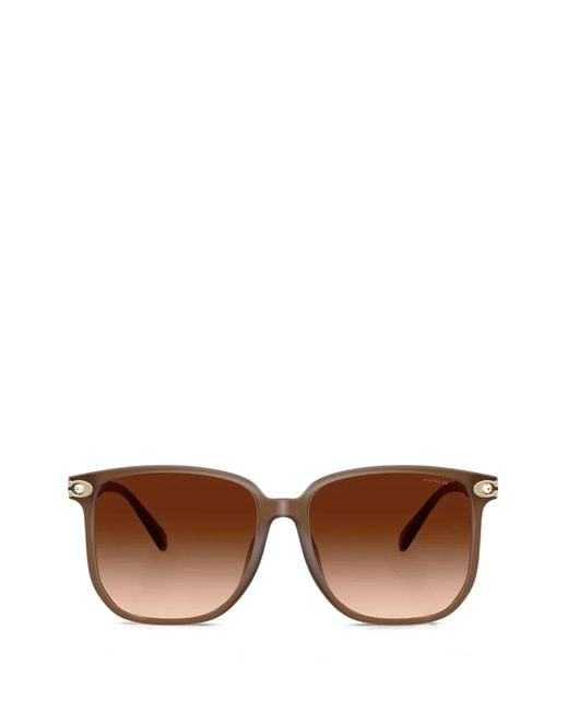COACH Brown Logo-Plaque Square-Frame Sunglasses