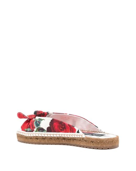 Dolce & Gabbana Brown Dg Logo Floral Canvas Sandal