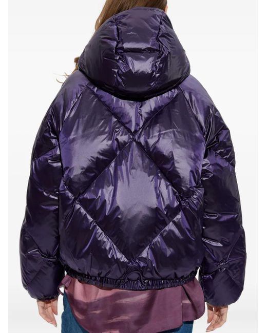 Lacoste Blue Hooded Puffer Jacket