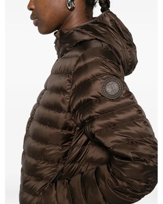 Canada Goose Brown Hooded Quilted Jacket