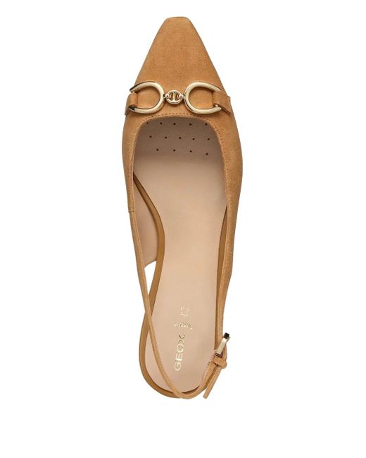 Ballerine Giselda15 Con Cinturino Posteriore di Geox in Brown