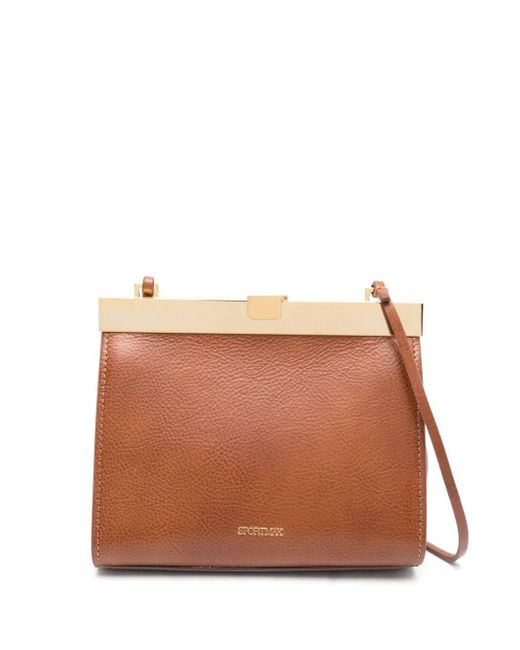 Sportmax Brown Small Lizzie Leather Crossbody Bag