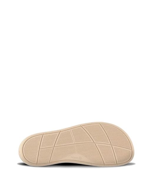 Baskets Barefoot Be Lenka en coloris Brown