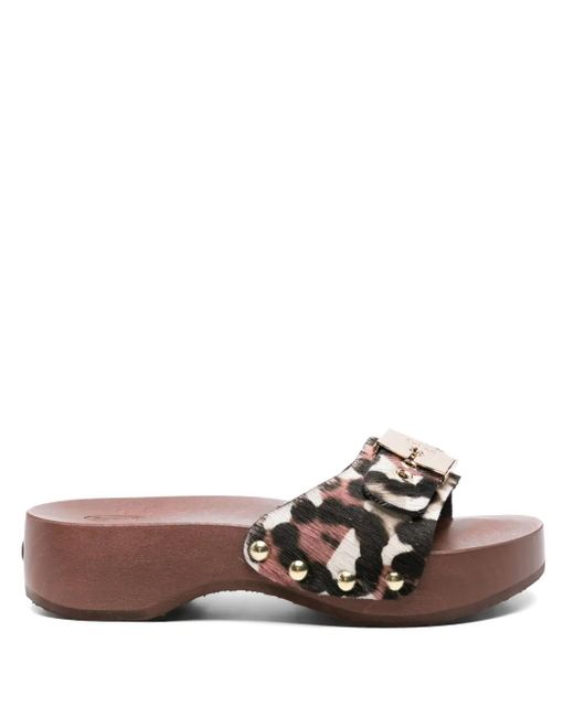 Scholl Pescura サンダル Brown