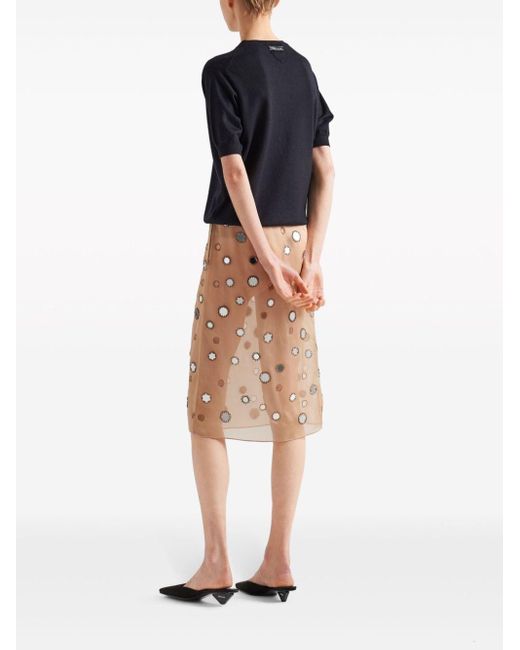 Prada Natural Organza Skirt And Embroidery
