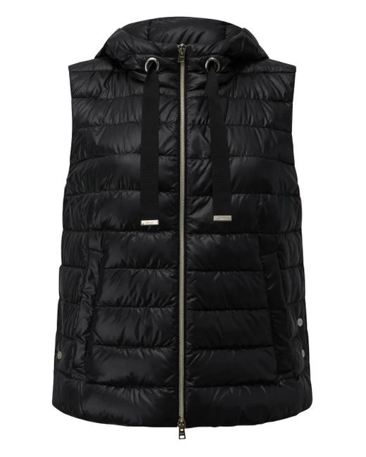 Herno キルティング フーデッドベスト Black