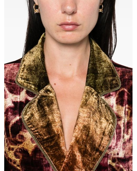 Blazer Kanpur Pierre Louis Mascia de color Brown