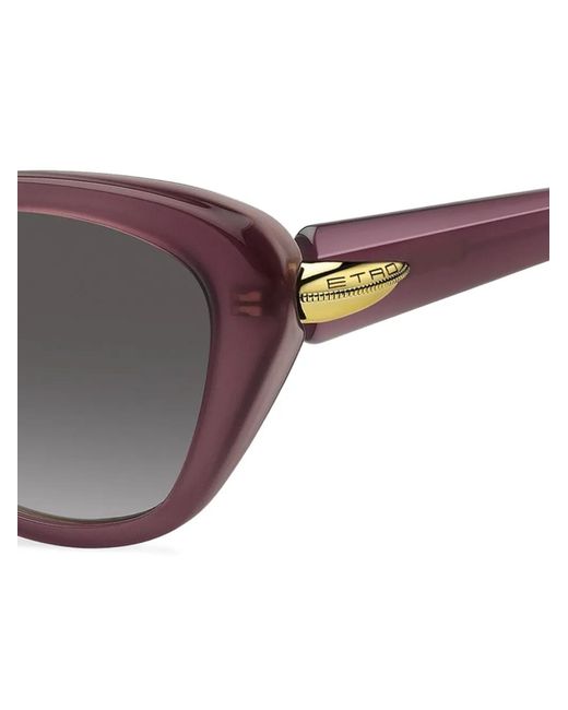 Etro Gray Cat-Eye Frame Sunglasses
