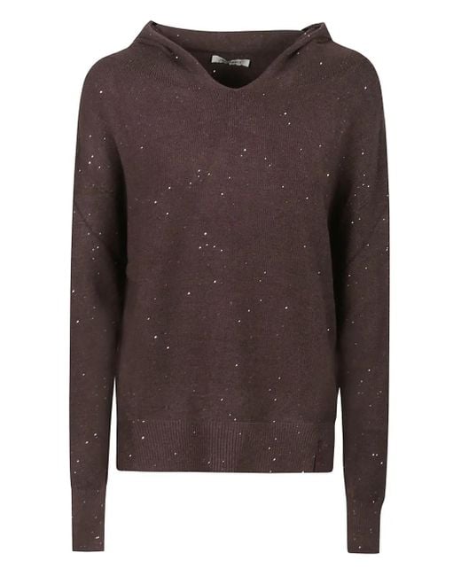 hinnominate Brown Pullover mit Paillettenstickerei