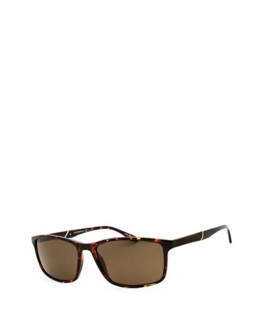 Chesterfield Brown Tortoiseshell-Effect Rectangle-Frame Sunglasses for men