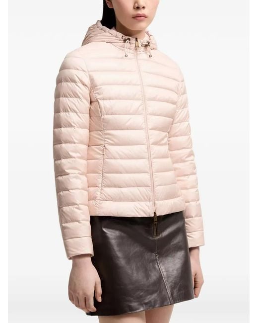 Moncler Pink Igelhood Short Down Jacket