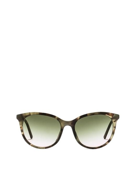Dolce & Gabbana Green Everyday Sunglasses