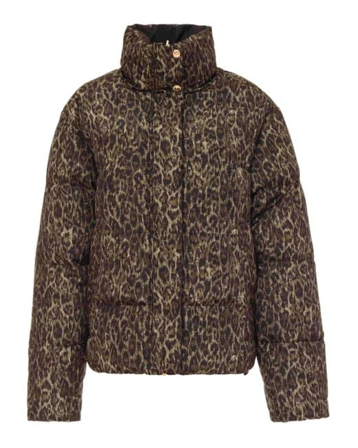 Just Cavalli Brown Leopard-Print Quilted Jacket