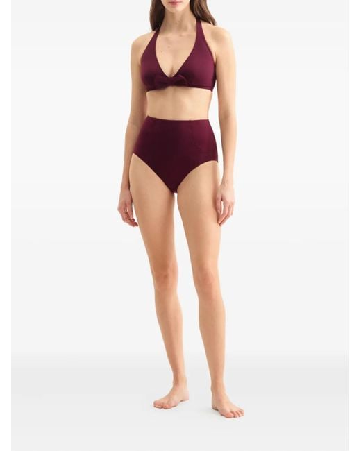 Eres Purple Misted High-Waisted Briefs