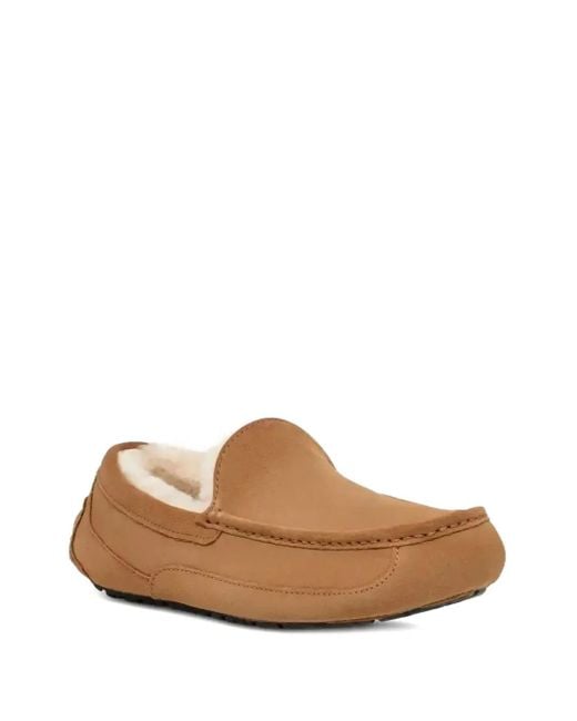 Ugg Brown Ascot Slippers for men